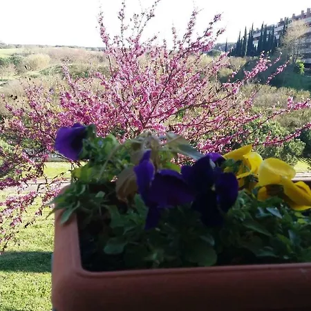 Colline Verdi * Vitinia